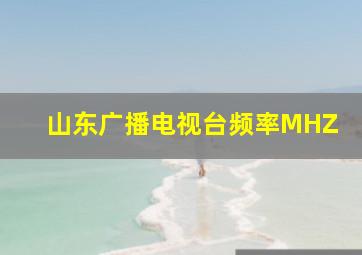 山东广播电视台频率MHZ