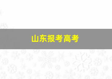 山东报考高考