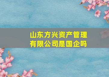 山东方兴资产管理有限公司是国企吗