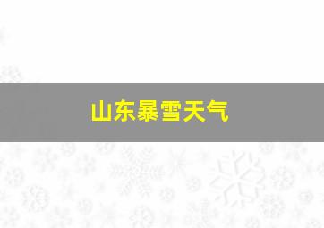 山东暴雪天气