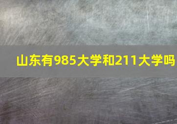 山东有985大学和211大学吗