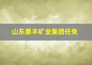 山东泰丰矿业集团任免