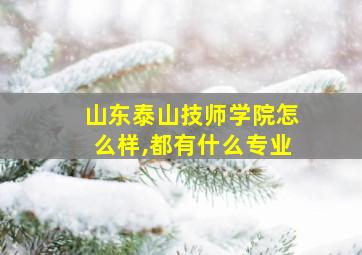 山东泰山技师学院怎么样,都有什么专业