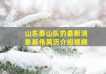 山东泰山队的最新消息郝伟简历介绍视频