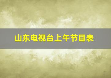 山东电视台上午节目表