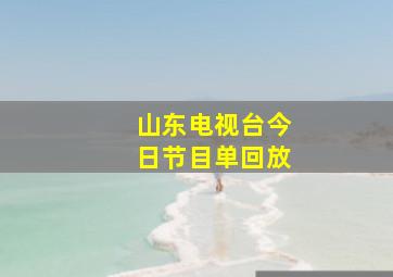 山东电视台今日节目单回放