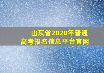 山东省2020年普通高考报名信息平台官网