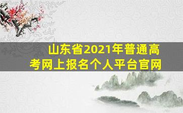 山东省2021年普通高考网上报名个人平台官网