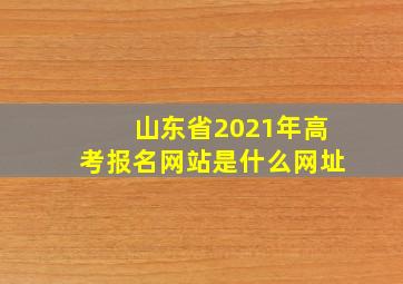 山东省2021年高考报名网站是什么网址