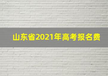 山东省2021年高考报名费