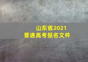 山东省2021普通高考报名文件