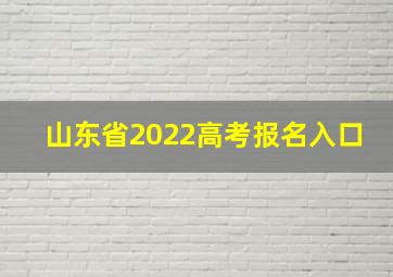 山东省2022高考报名入口