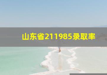 山东省211985录取率