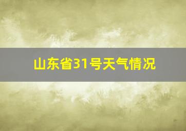 山东省31号天气情况