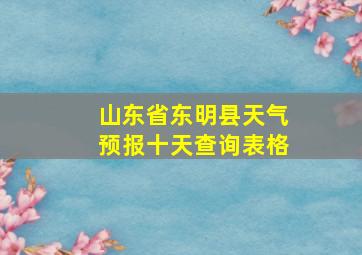 山东省东明县天气预报十天查询表格