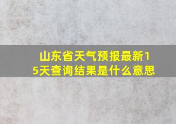 山东省天气预报最新15天查询结果是什么意思