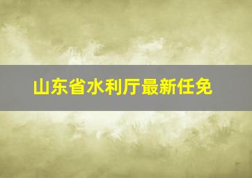 山东省水利厅最新任免