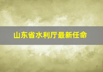 山东省水利厅最新任命