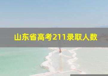 山东省高考211录取人数