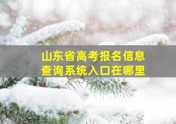 山东省高考报名信息查询系统入口在哪里