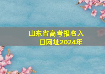 山东省高考报名入口网址2024年