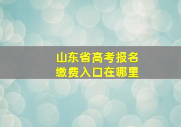 山东省高考报名缴费入口在哪里