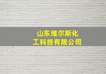 山东维尔斯化工科技有限公司