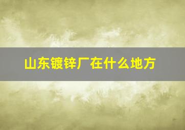 山东镀锌厂在什么地方