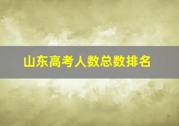 山东高考人数总数排名