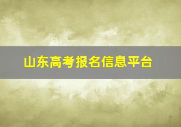 山东高考报名信息平台