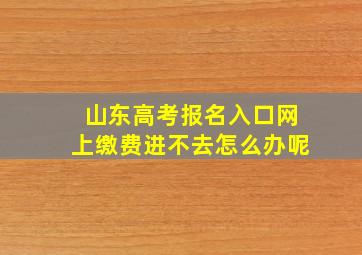 山东高考报名入口网上缴费进不去怎么办呢