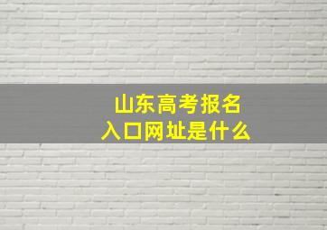 山东高考报名入口网址是什么