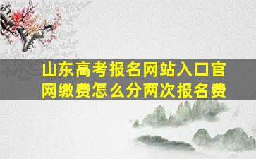 山东高考报名网站入口官网缴费怎么分两次报名费