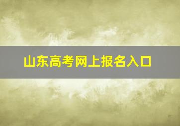 山东高考网上报名入口