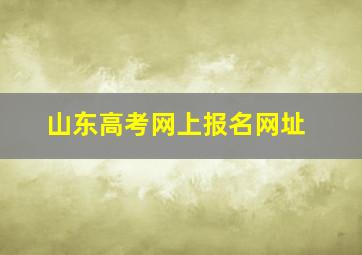 山东高考网上报名网址