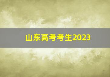 山东高考考生2023