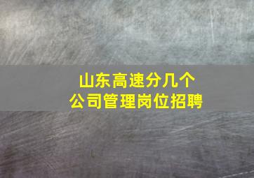 山东高速分几个公司管理岗位招聘