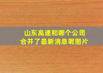 山东高速和哪个公司合并了最新消息呢图片