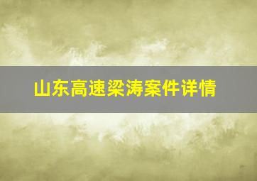 山东高速梁涛案件详情