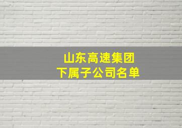 山东高速集团下属子公司名单