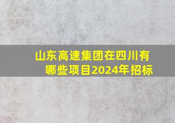 山东高速集团在四川有哪些项目2024年招标