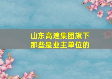 山东高速集团旗下那些是业主单位的