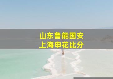 山东鲁能国安上海申花比分