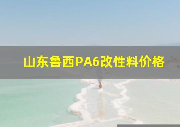 山东鲁西PA6改性料价格