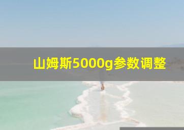 山姆斯5000g参数调整