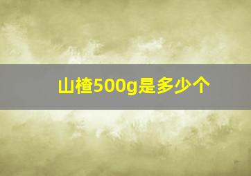 山楂500g是多少个