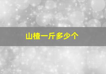 山楂一斤多少个