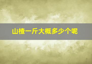 山楂一斤大概多少个呢