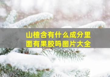 山楂含有什么成分里面有果胶吗图片大全