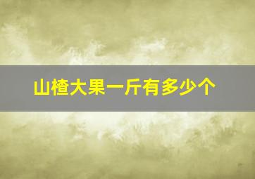 山楂大果一斤有多少个